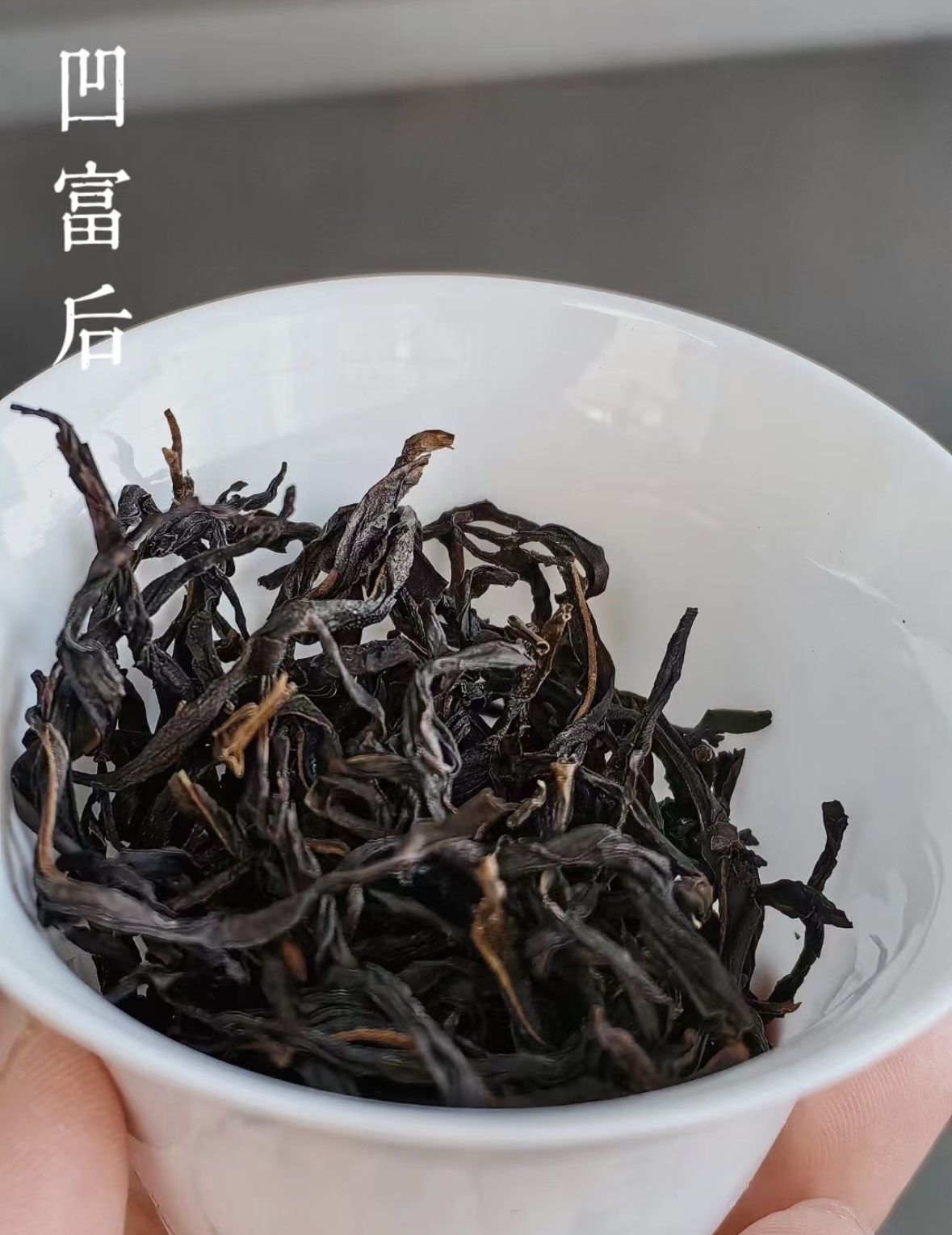 凤凰单丛茶 春凹富后  潮州凤凰原产区传统工艺乌龙茶