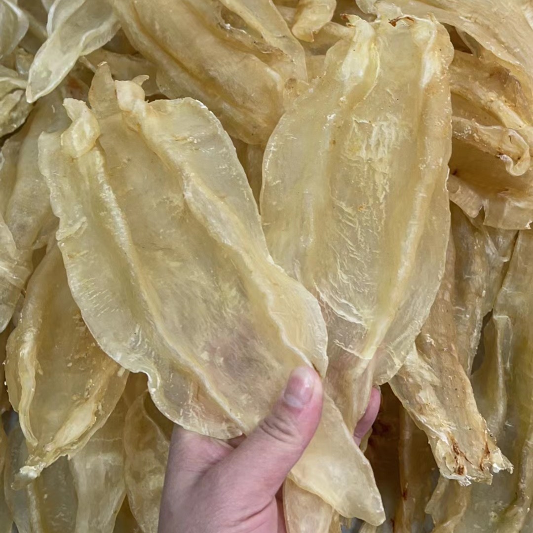 【燕珍海产品】北海鱼胶