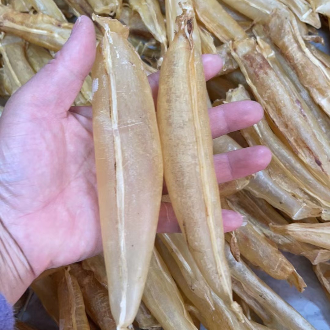 【燕珍海产品】双须金龙胶