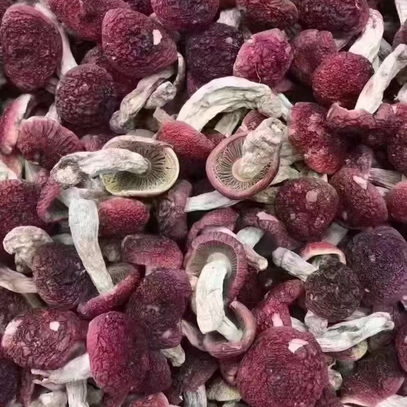 深山红菇干货一元红菇月子红菇