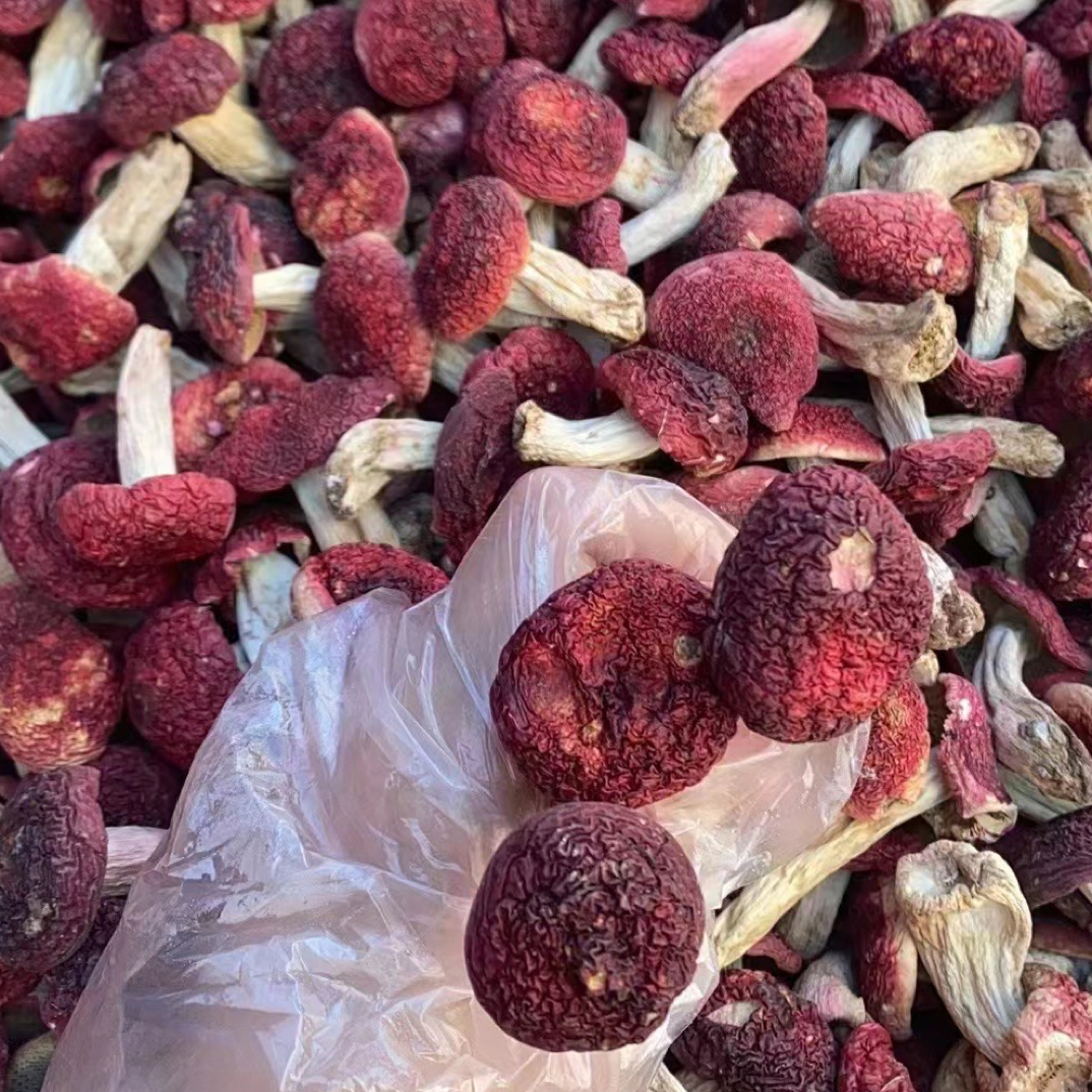 秋香精选深山红菇干货中标菇月子菇