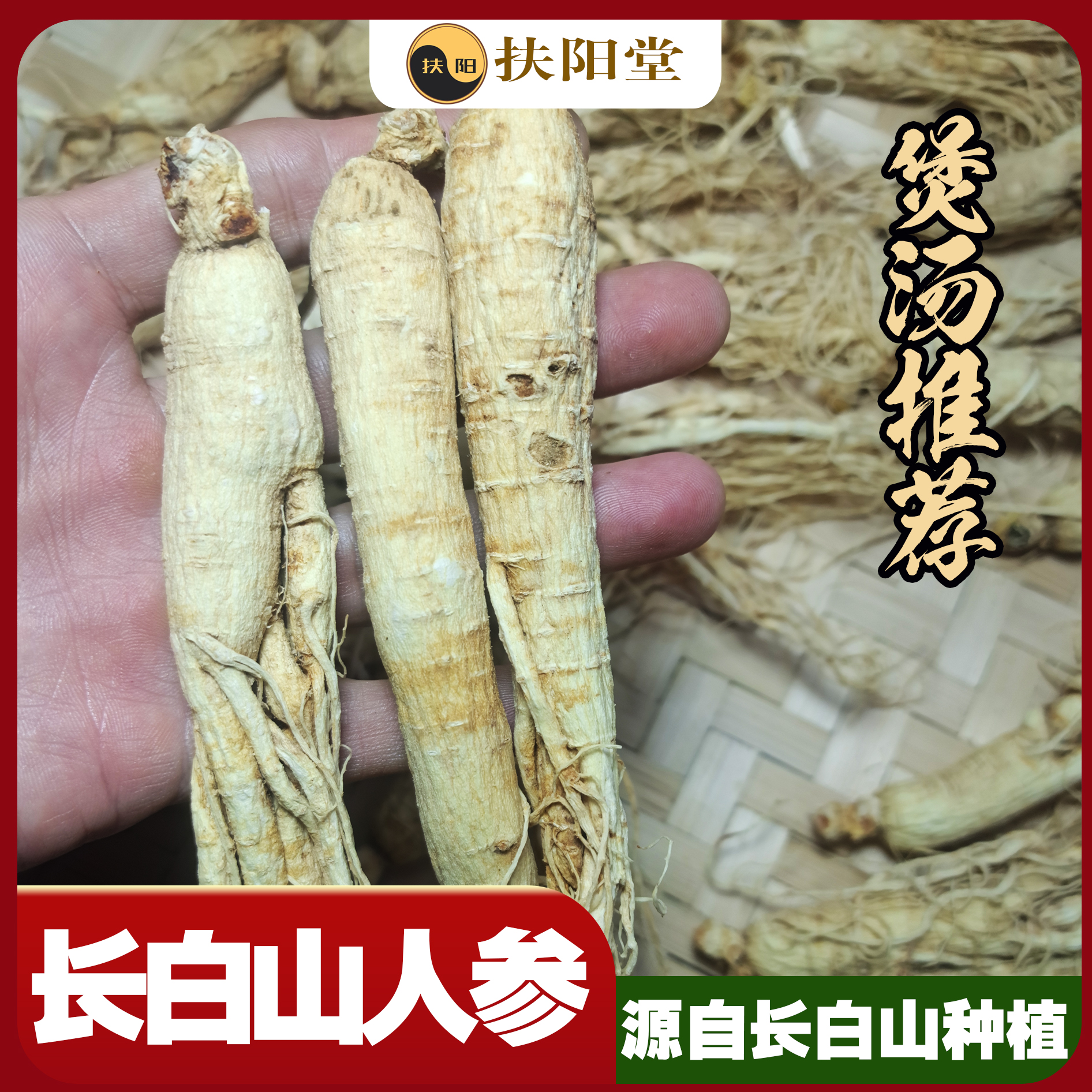 长白山人参生晒种植
