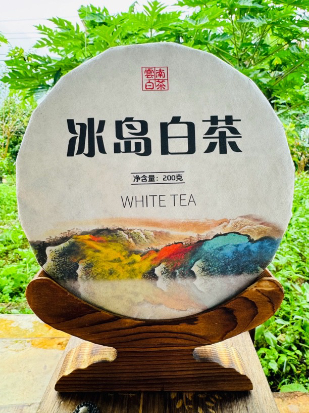 23年头春冰岛老寨大树白茶（200克茶饼）