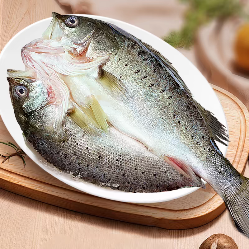 开背海鲈鱼新鲜冷冻鲜活三去水产七星鲈鱼海鱼500g*3条