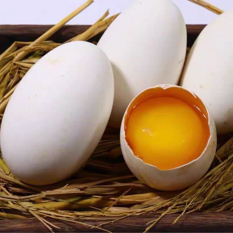 农家鹅蛋 大鹅蛋农家