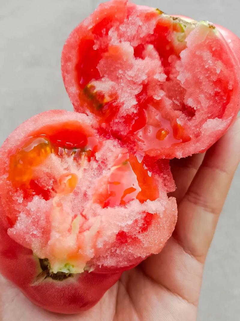 沂蒙山自己种植的西红柿