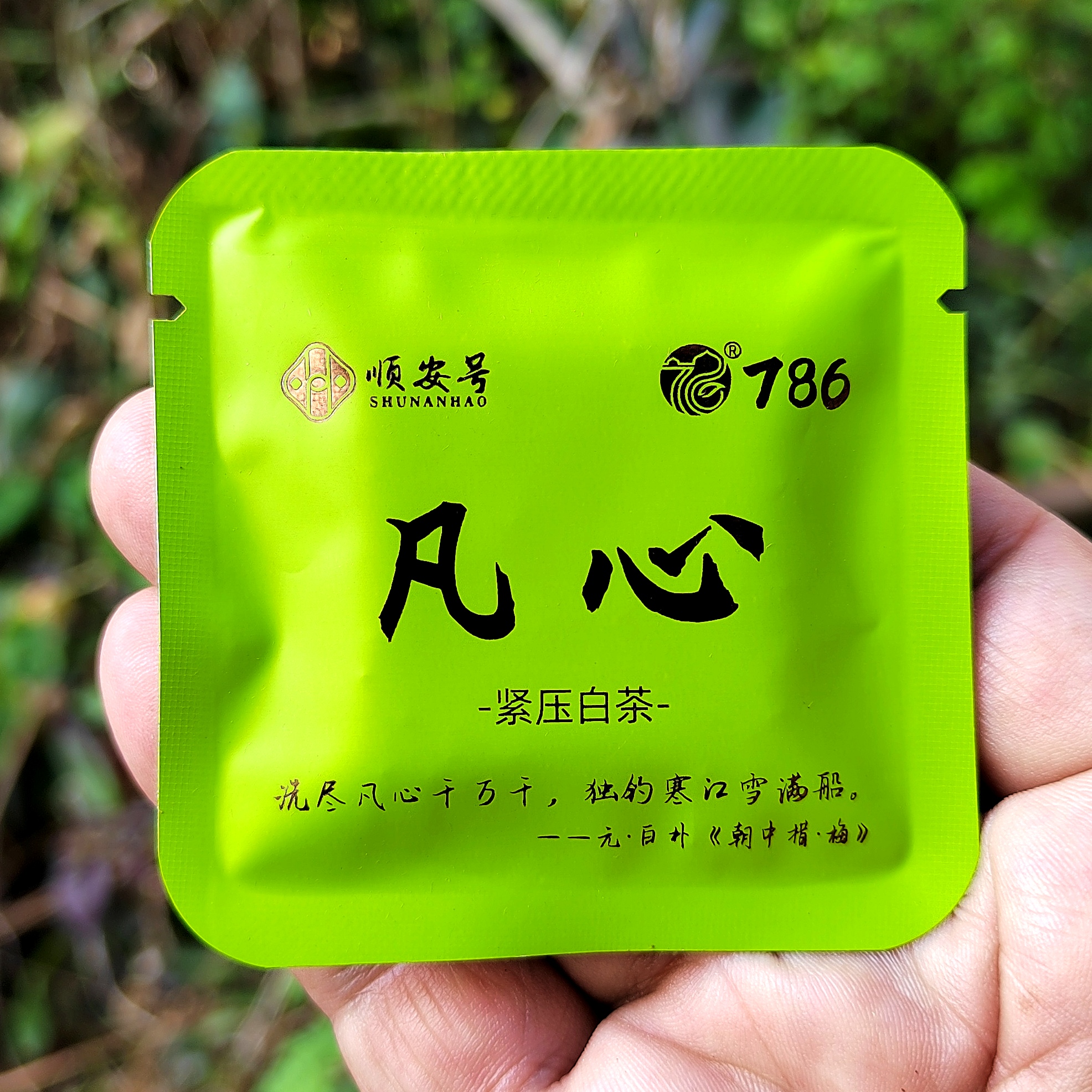 高海拔【凡心】紧压白茶4克小方片