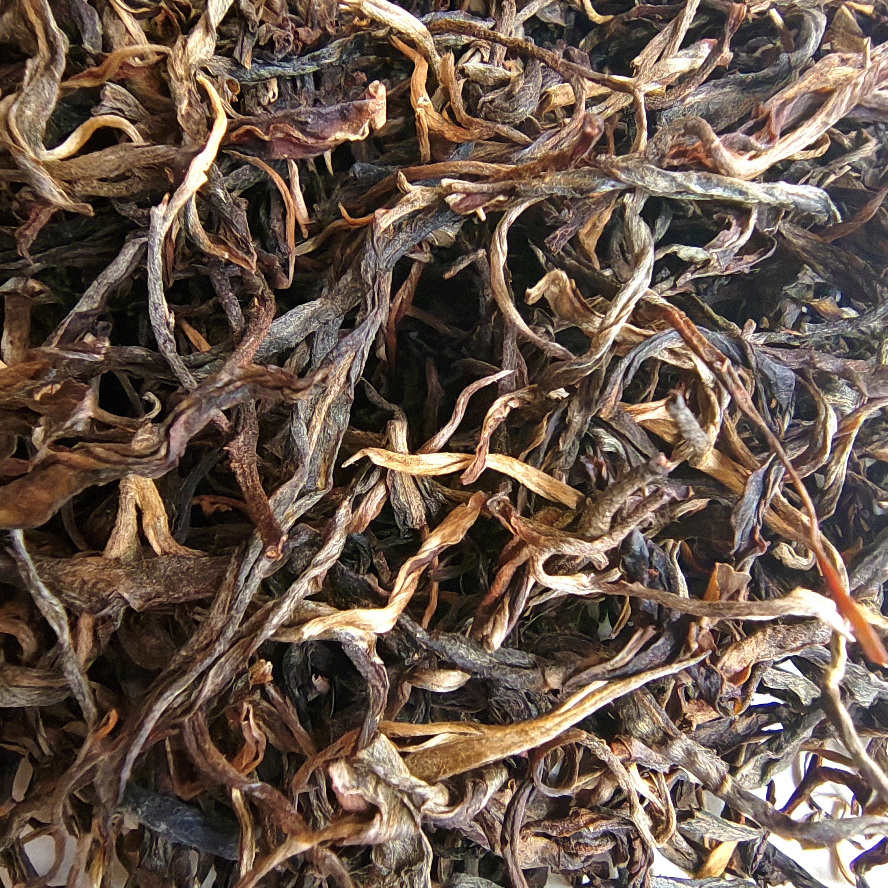 秘境珍宝【忙肺古树】2019年春散茶 250克