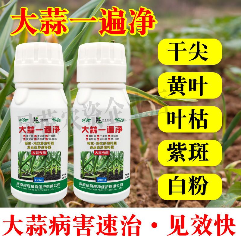 大蒜一遍净干尖黄叶紫斑锈病白粉病灰霉病快速解决增产防病专用药