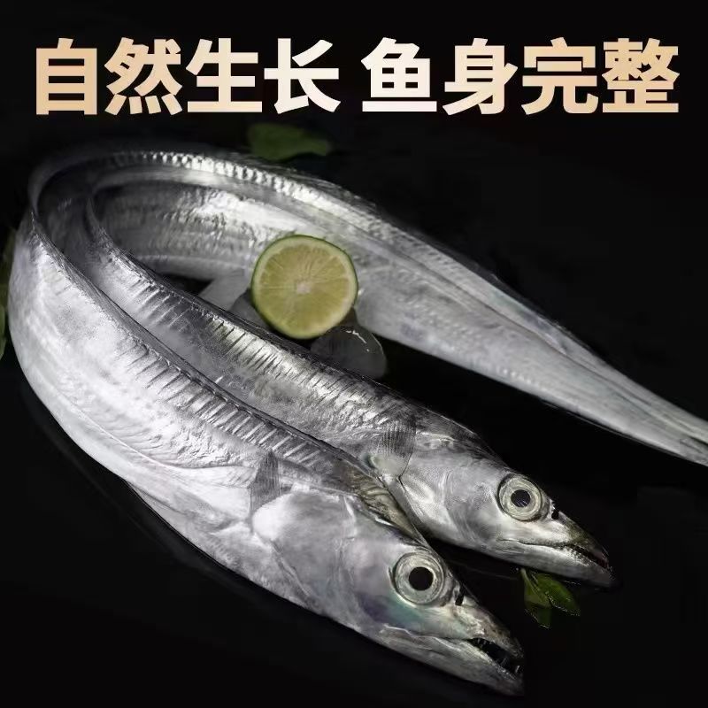 【特大号】黄渤海野生深海钓带鱼8两-1斤/条，到手4条，小黑眼油带鱼