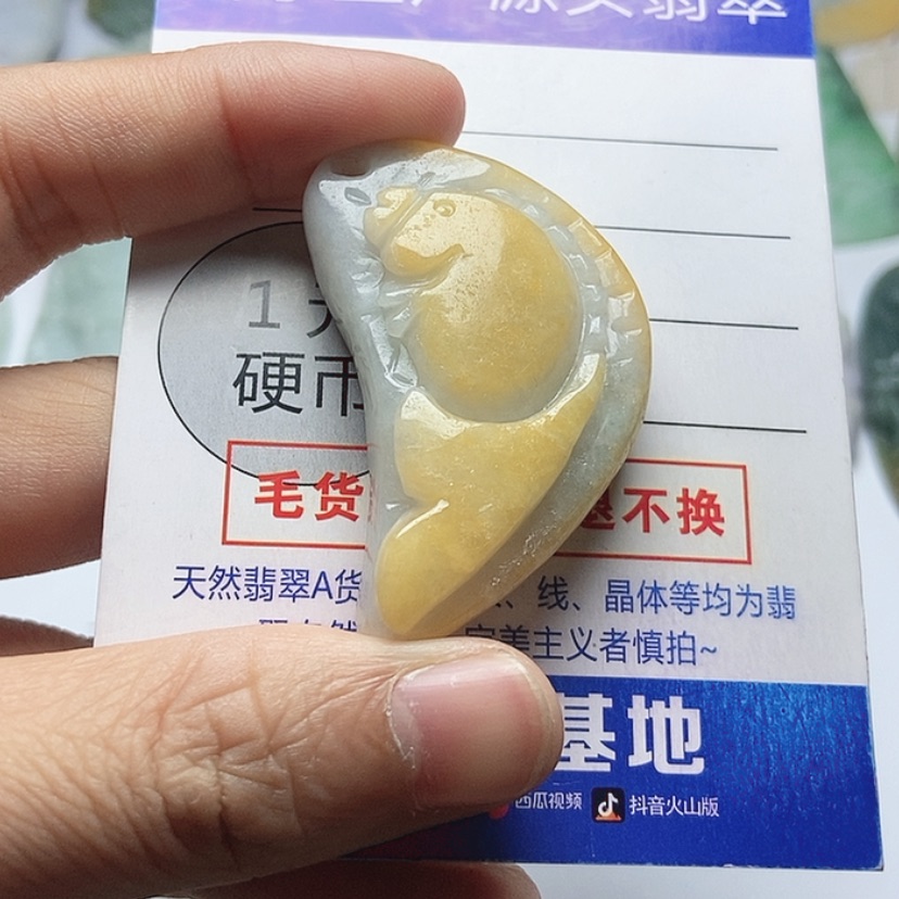【闪购商品】翡翠颈饰未镶嵌