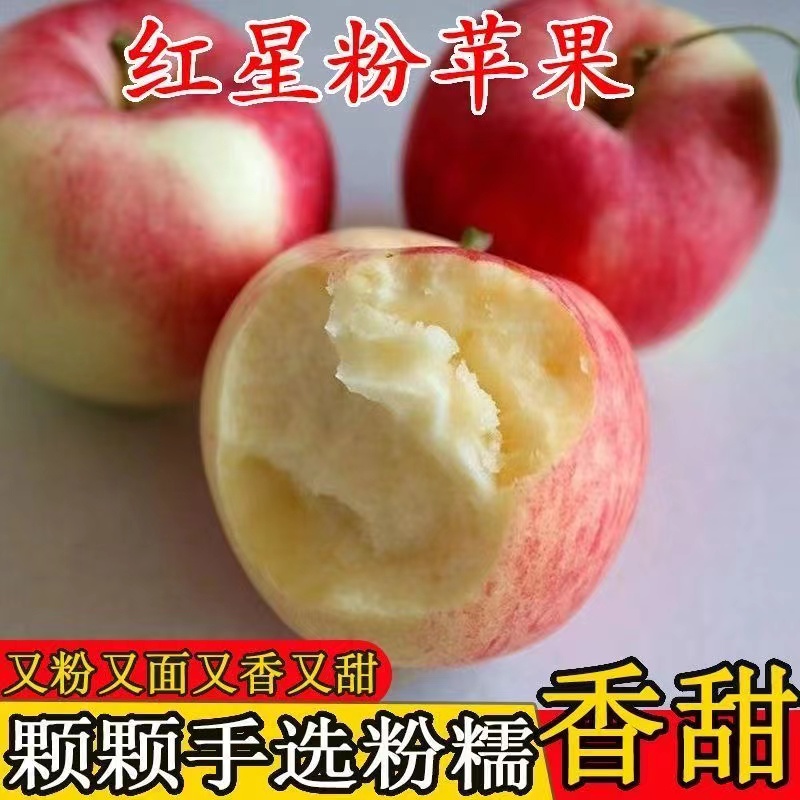苹果真好吃的苹果