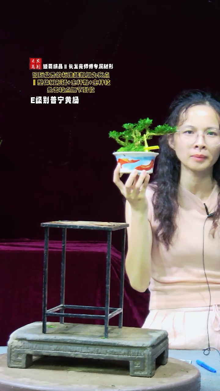 【闪购商品】黄杨盆景黄杨盆景