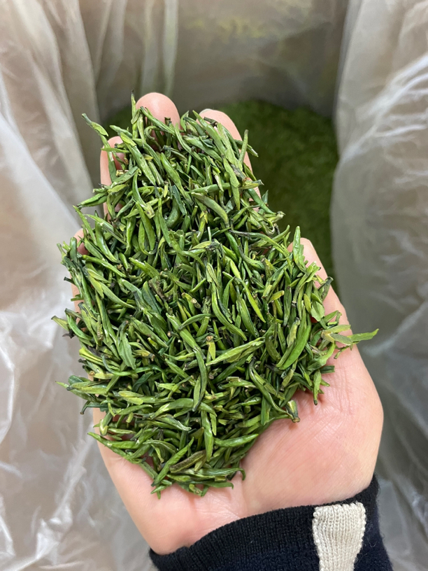 【徽御府】24年新茶绿茶雀舌全芽鲜爽甘甜