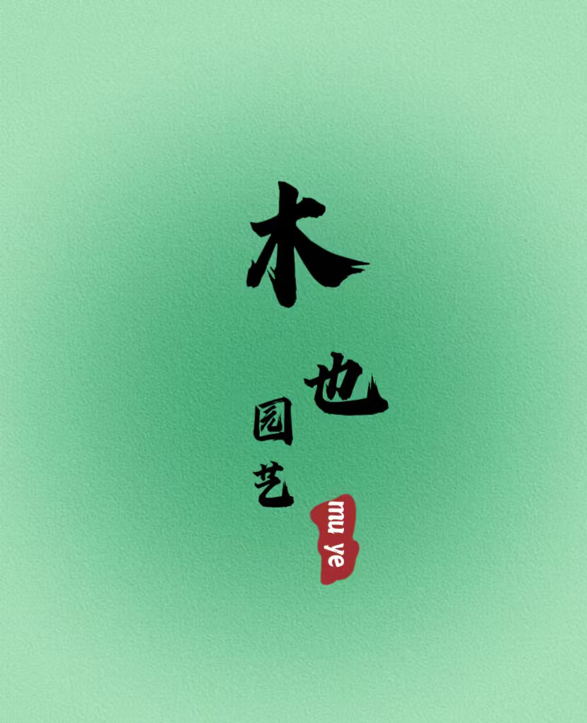 【一物一拍】金弹子