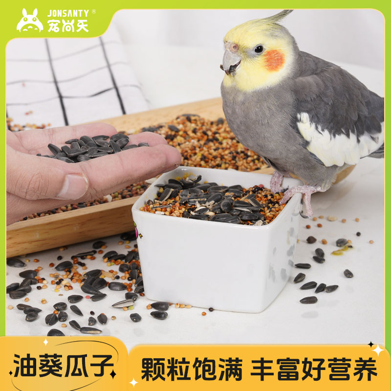 【粉丝浮力】鹦鹉新鲜优质天然零食油葵瓜子虎皮玄凤牡丹鸟食饲料