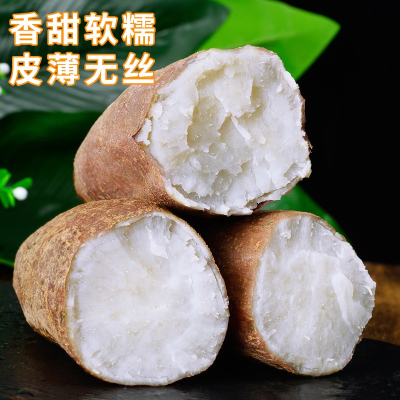 【瑶瑶专属】河南哈密冰糖白心蜜薯3/4.5斤 地瓜 无筋无丝新鲜优质