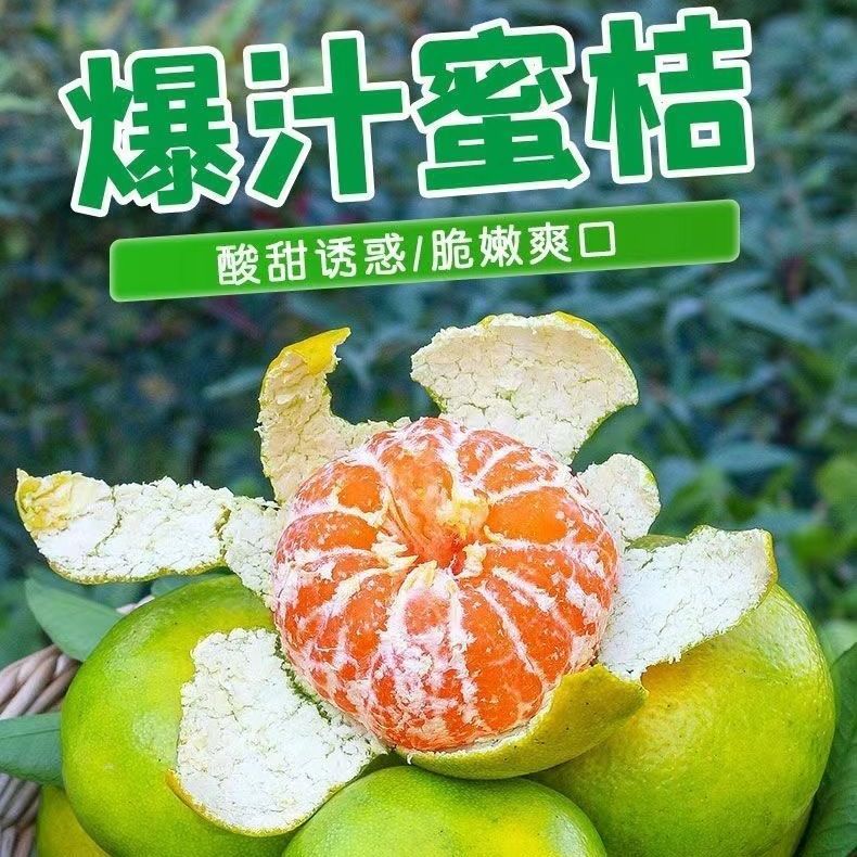 橘子产地直发生鲜专配青皮蜜桔孕妇水果云南高原橘子皮薄桔子2