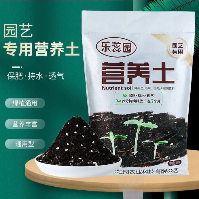 营养土室内绿植盆栽