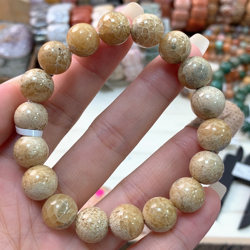 【闪购商品】硅化珊瑚（珊瑚玉）手链未镶嵌018