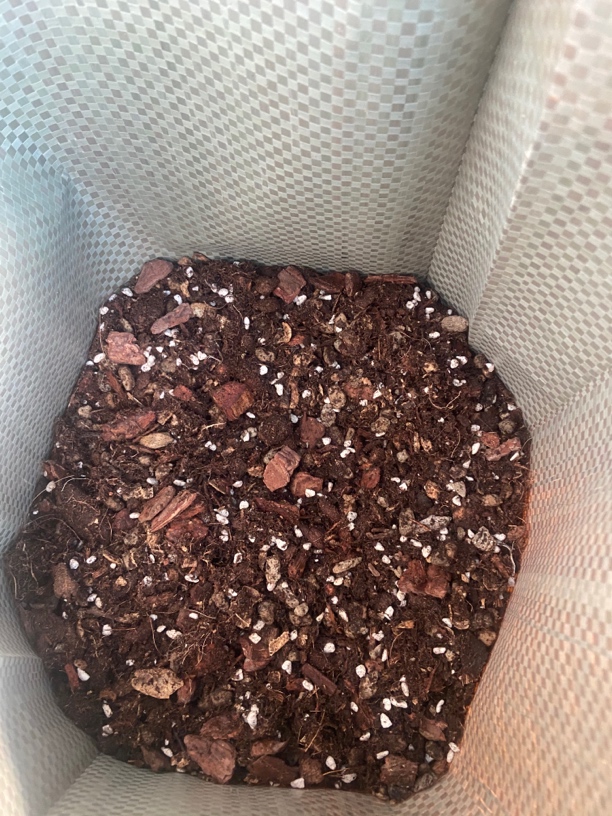 老汉蟹爪兰植料土