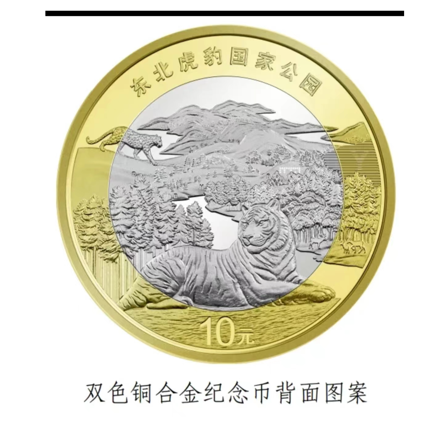 法定货币2024东北虎豹国家公园纪念币单枚-评级版