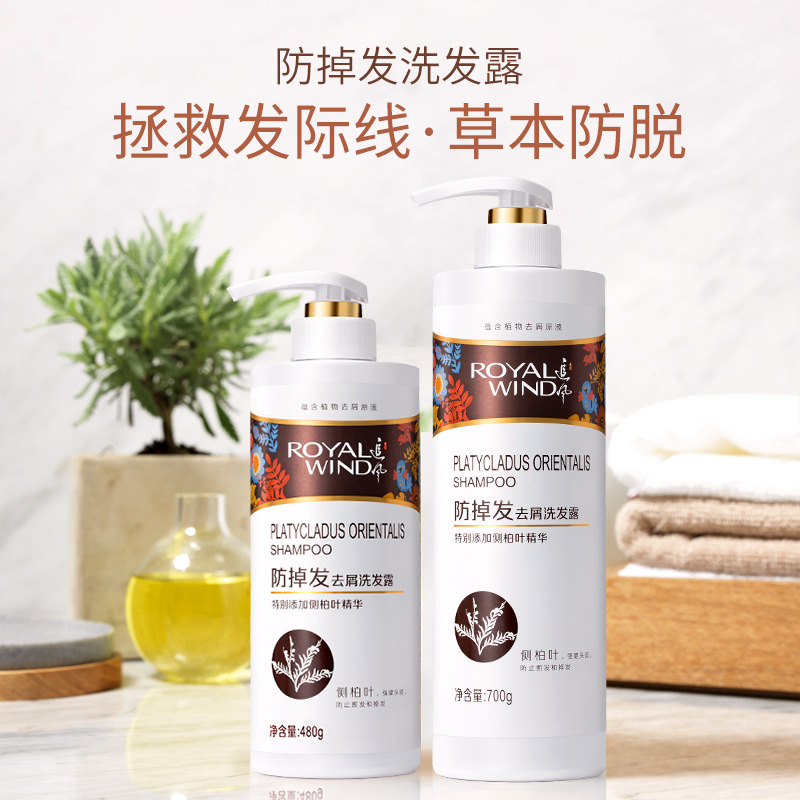追风防掉发去屑洗发露柔顺洗发草本萃取液滋养清爽控油洗发水男女