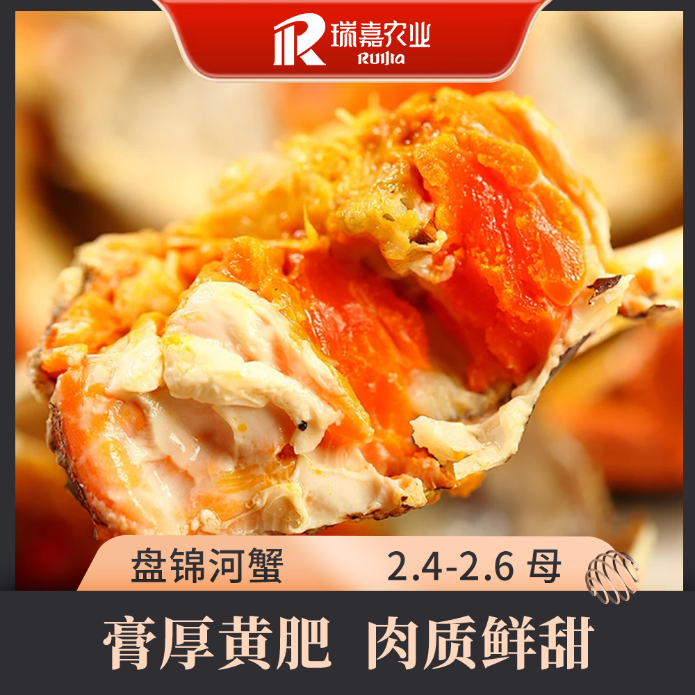 【活蟹】瑞嘉 盘锦河蟹 2.4-2.6两 全母 8/10只
