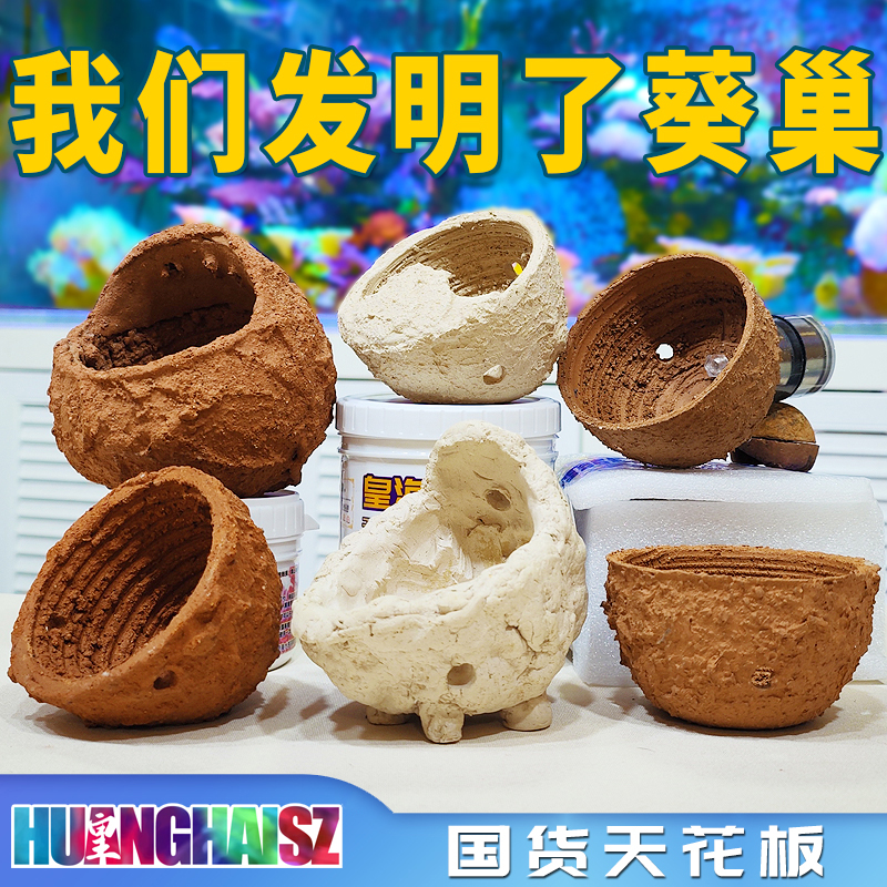 皇海葵巢海葵窝海缸珊瑚海水鱼杯奶嘴杯窝饲养容器精品水族优选