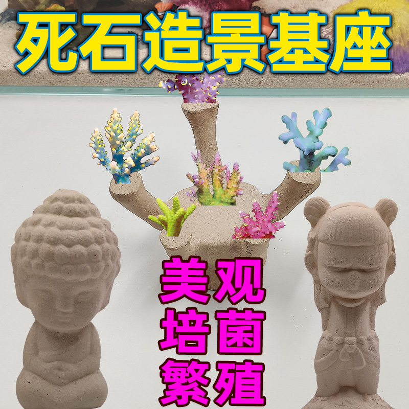 皇海五指山造景基座珊瑚基座糖果脑宝石花单苞可同时放6个珊瑚