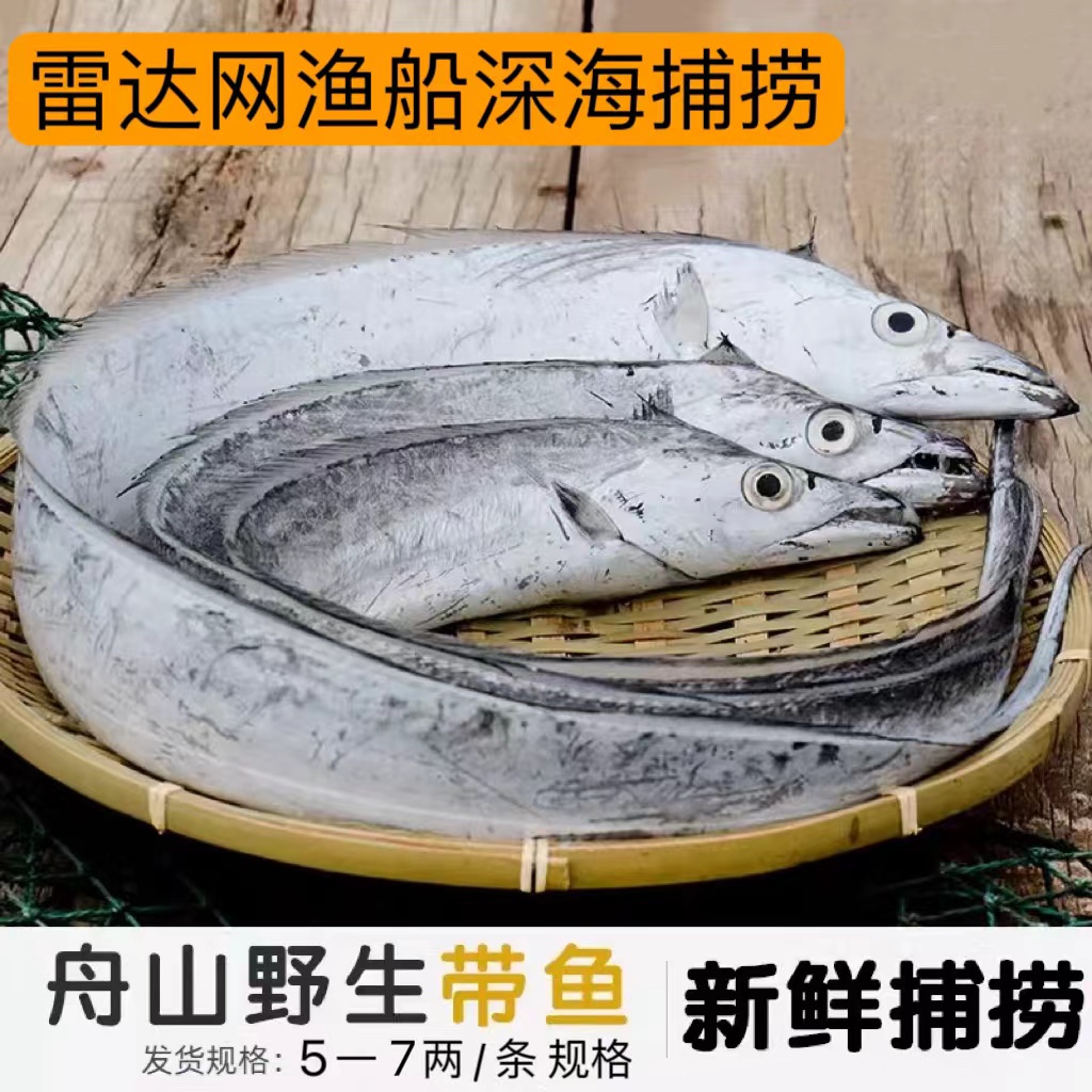 东海舟山雷达网油带鱼 5-7两/条规格  3斤装  冷链发货