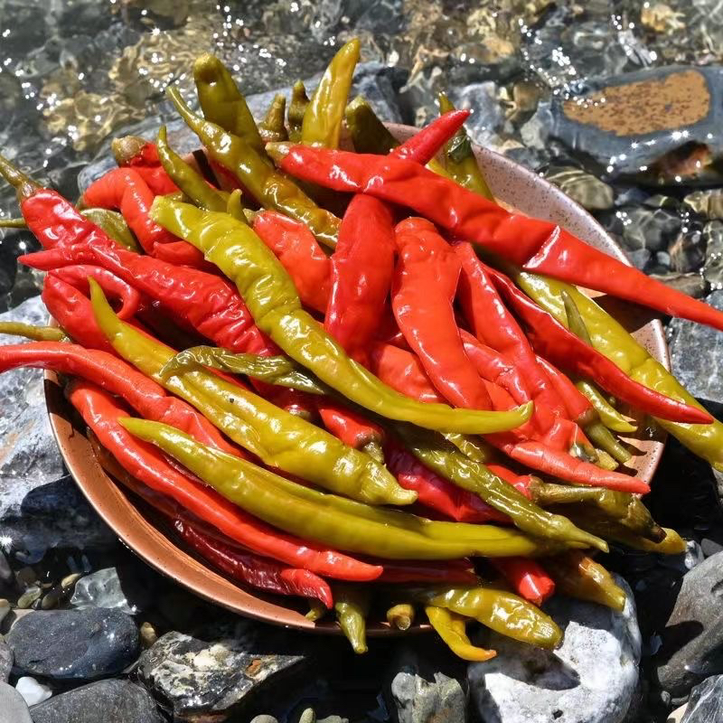 酸泡辣椒新鲜贵州湖南四川重庆土特产青红微辣二荆条商用腌制泡椒