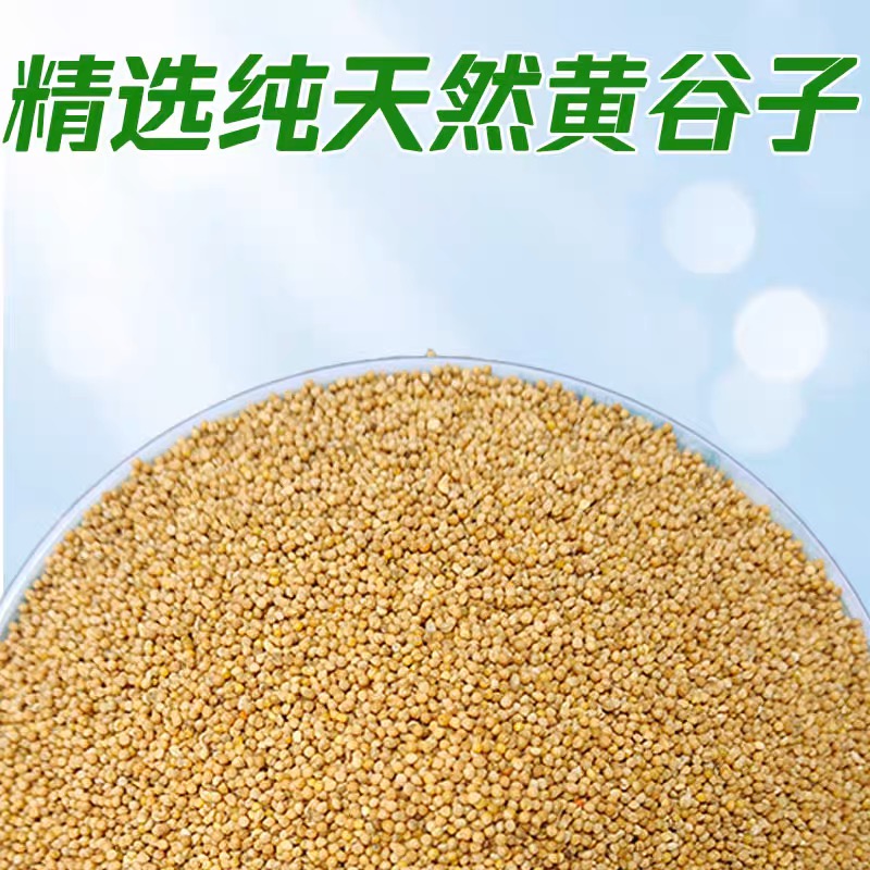 鸟粮鸟食  虎皮鹦鹉专用的黄谷子