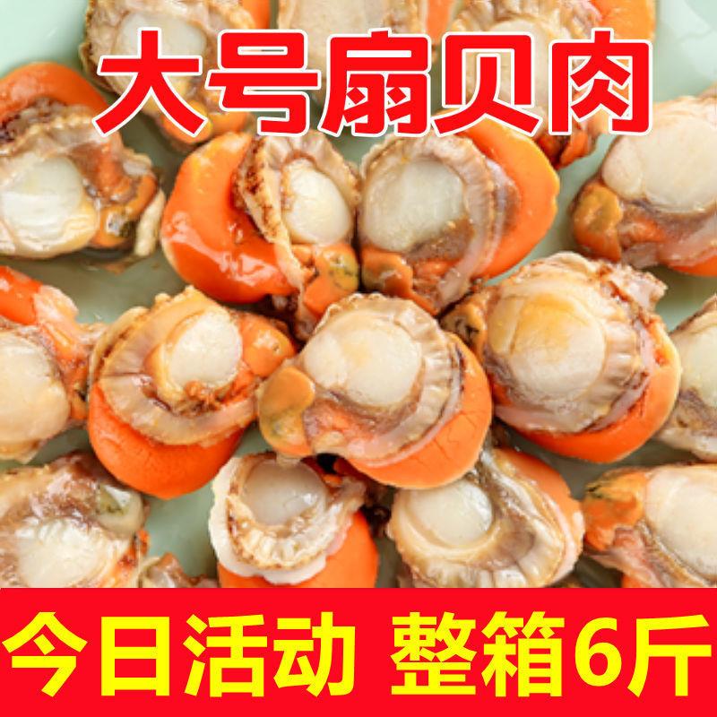 高品质特大号扇贝肉新鲜冷冻扇贝贝类海鲜瑶柱海鲜水产批发不泡药