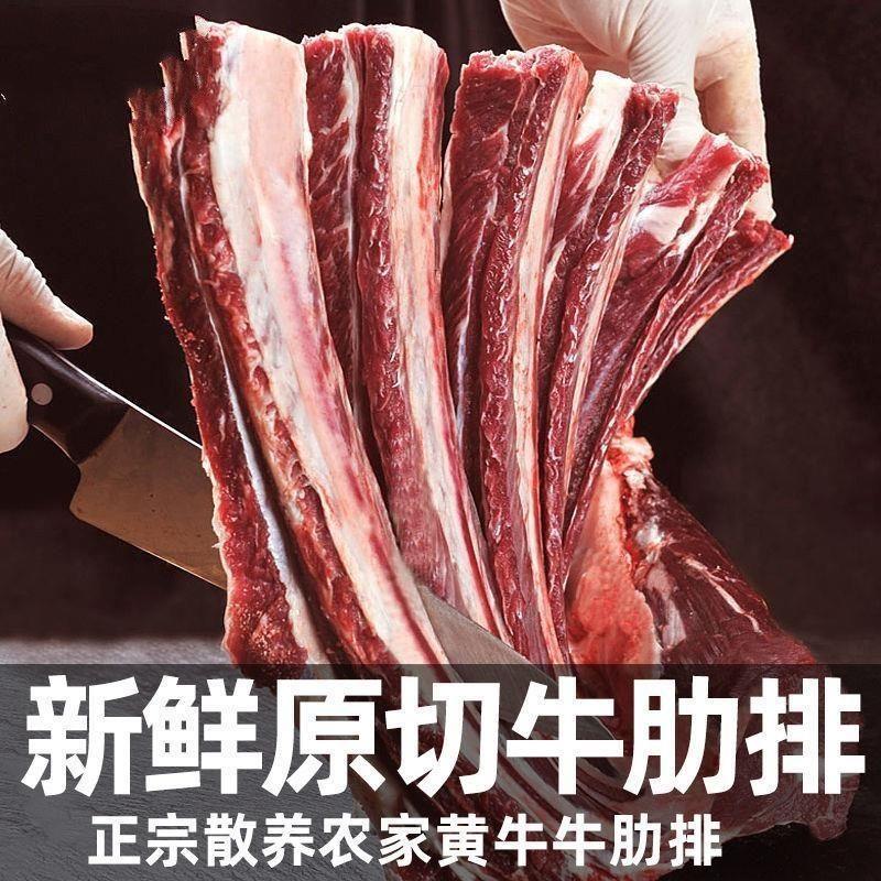 原切正宗牛肋排清真牛肋骨手把牛大骨多肉牛排骨新鲜牛肉红烧商用