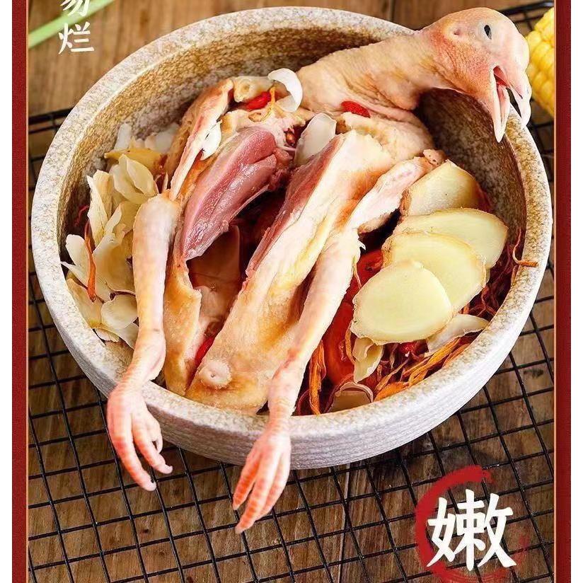 【太便宜了】十只鸽子乳鸽嫩鸽老鸽滋补富硒乳鸽纯粮喂养新鲜煲汤