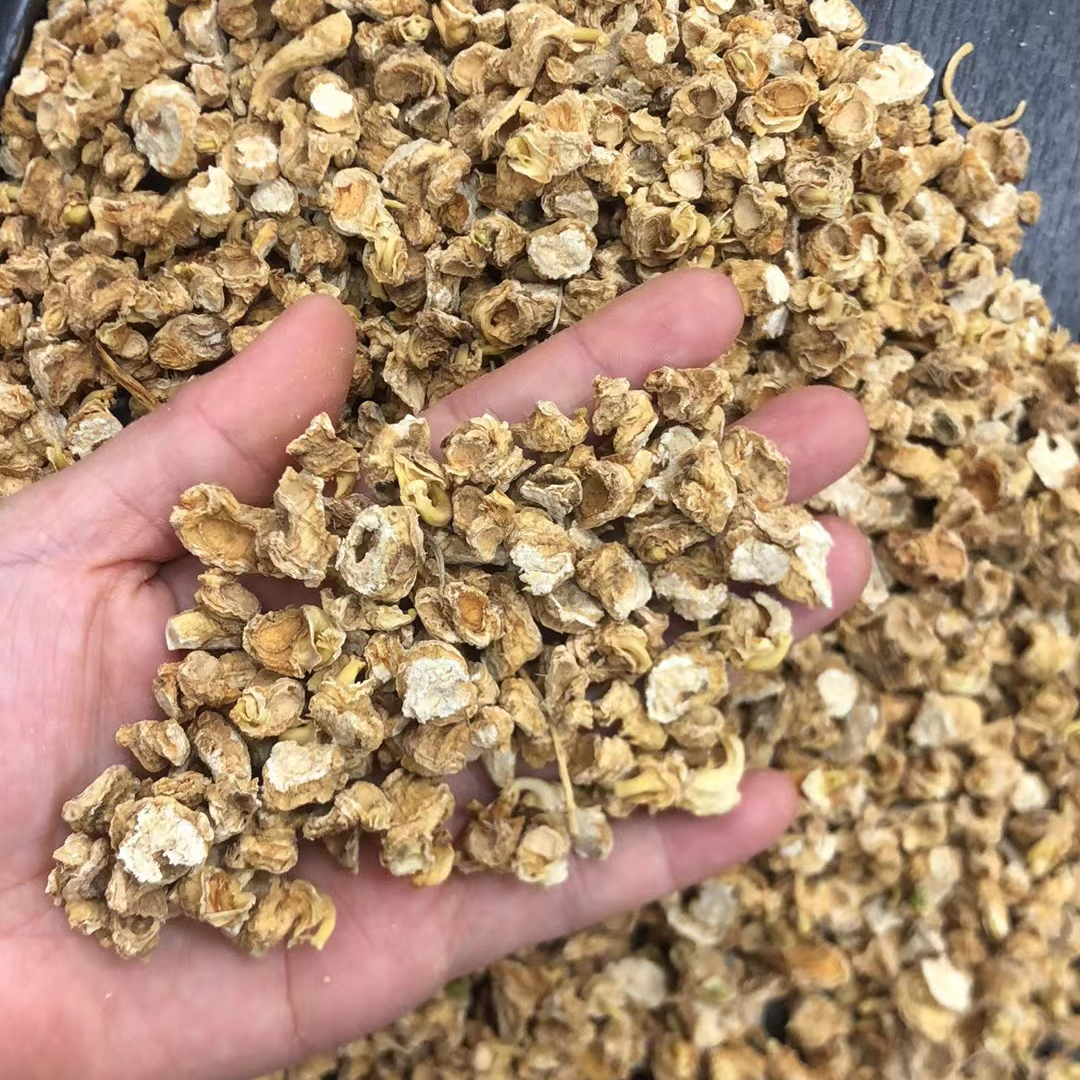 官方庄西洋参芦头粒散装农产品