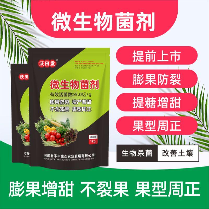 膨果上色増甜防畸形 防裂果 提升品质 促进糖分提高品质提高产量