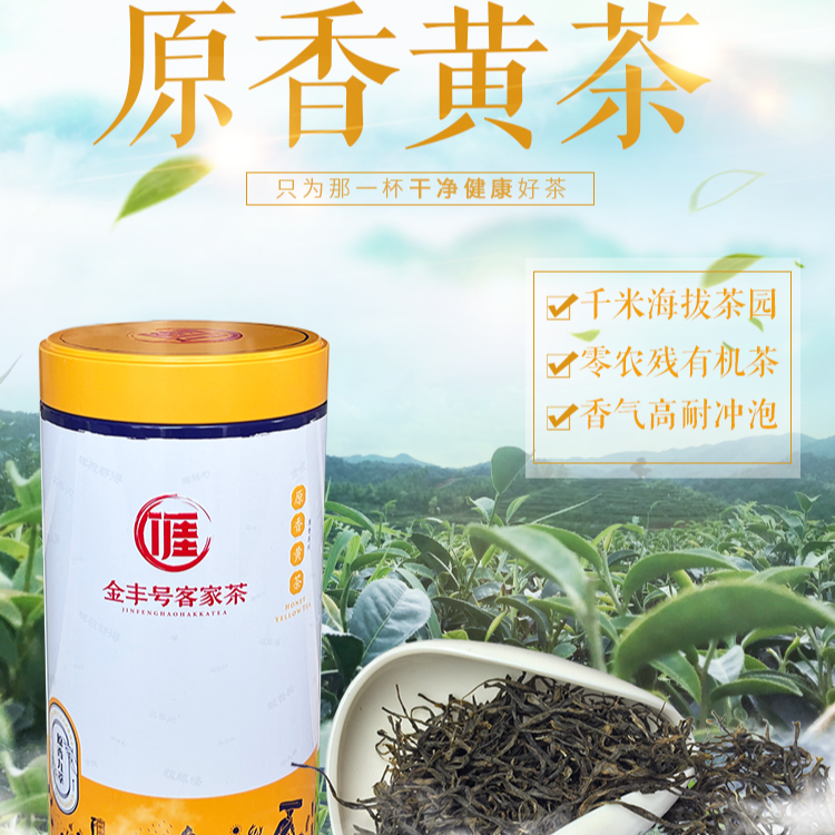 黄茶 紫金蝉茶 客家茶 中哥说客家茶 高山云雾有机茶罐装125g