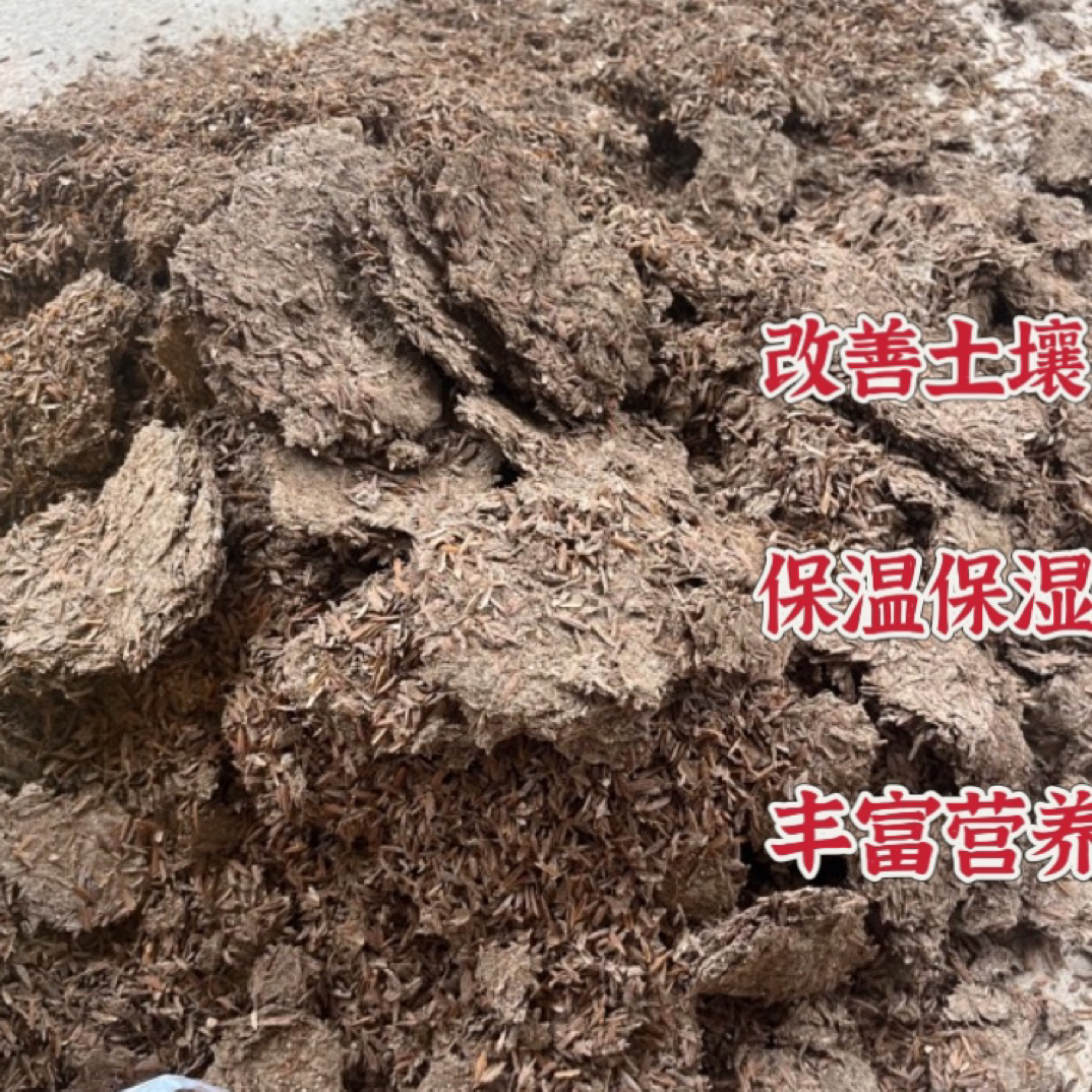 「豫建」自用调制三角梅专用有机鸭肥 （不伤根，保温 保湿）