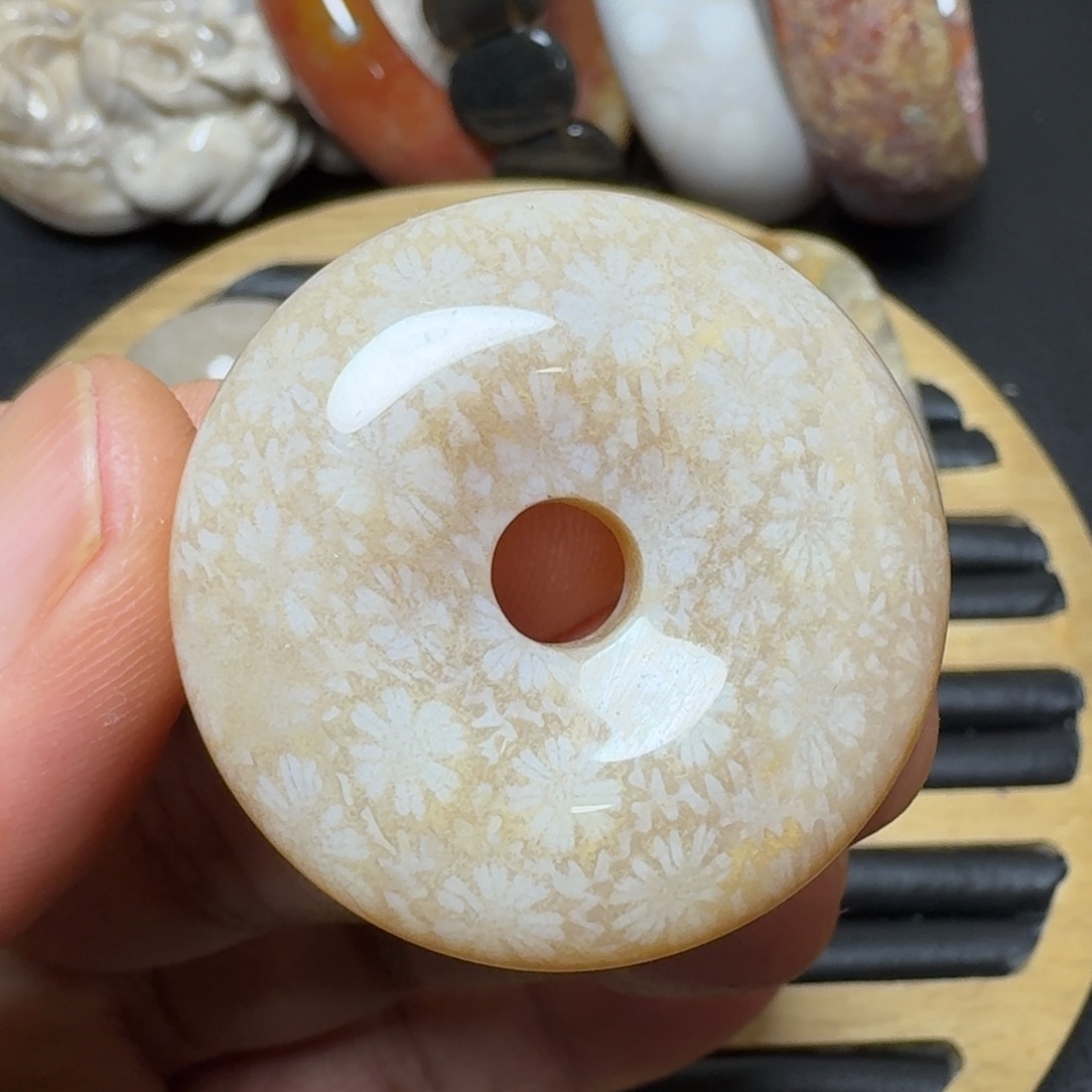 硅化珊瑚（珊瑚玉）纯天然色有机玉石未镶嵌