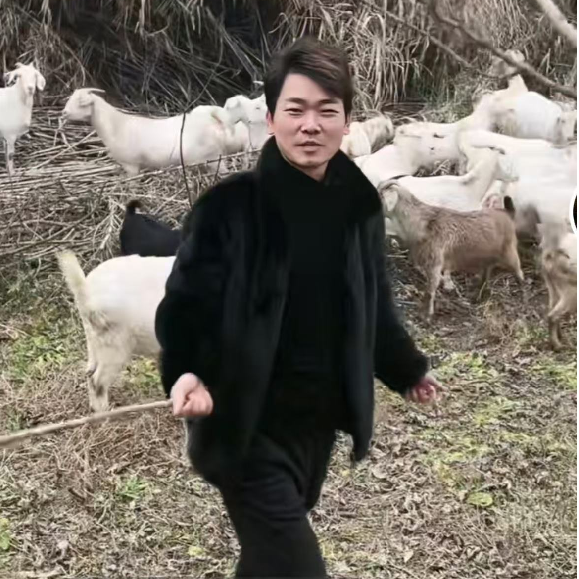 崇明本地白山羊 新鲜羊肉整羊切块%腿排8斤10斤