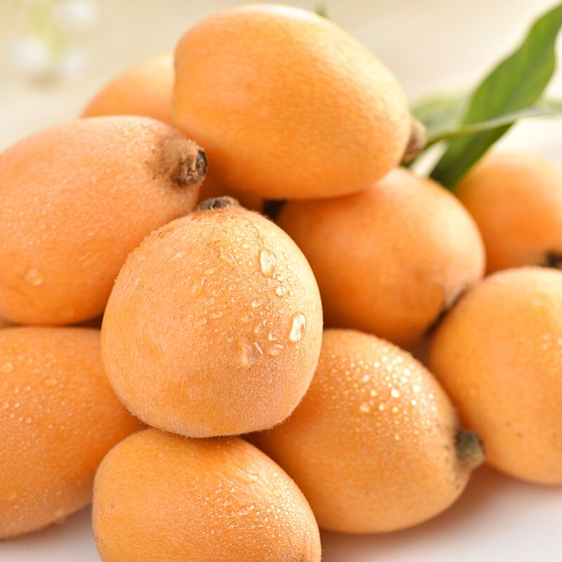 【全国八省】一箱高山枇杷  甘甜口感 新鲜  带箱6斤左右