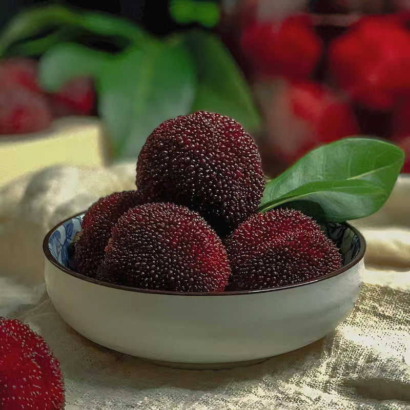 【全国八省】一箱东魁杨梅 新鲜 爆汁新鲜 两盒净重4斤左右