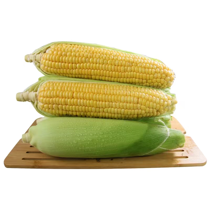 【全国八省】五根装水果玉米 新鲜爆浆甜嫩玉米低脂代餐 一份五根装