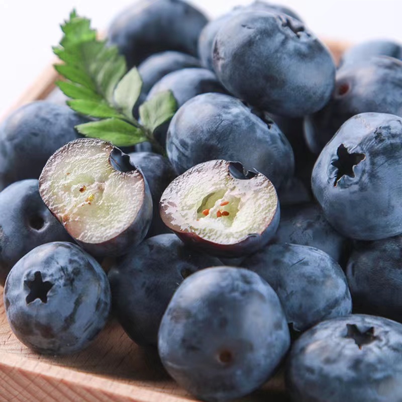 【全国八省】六盒装 18+蓝莓 新鲜到  花香味果粉足 （单盒125g）