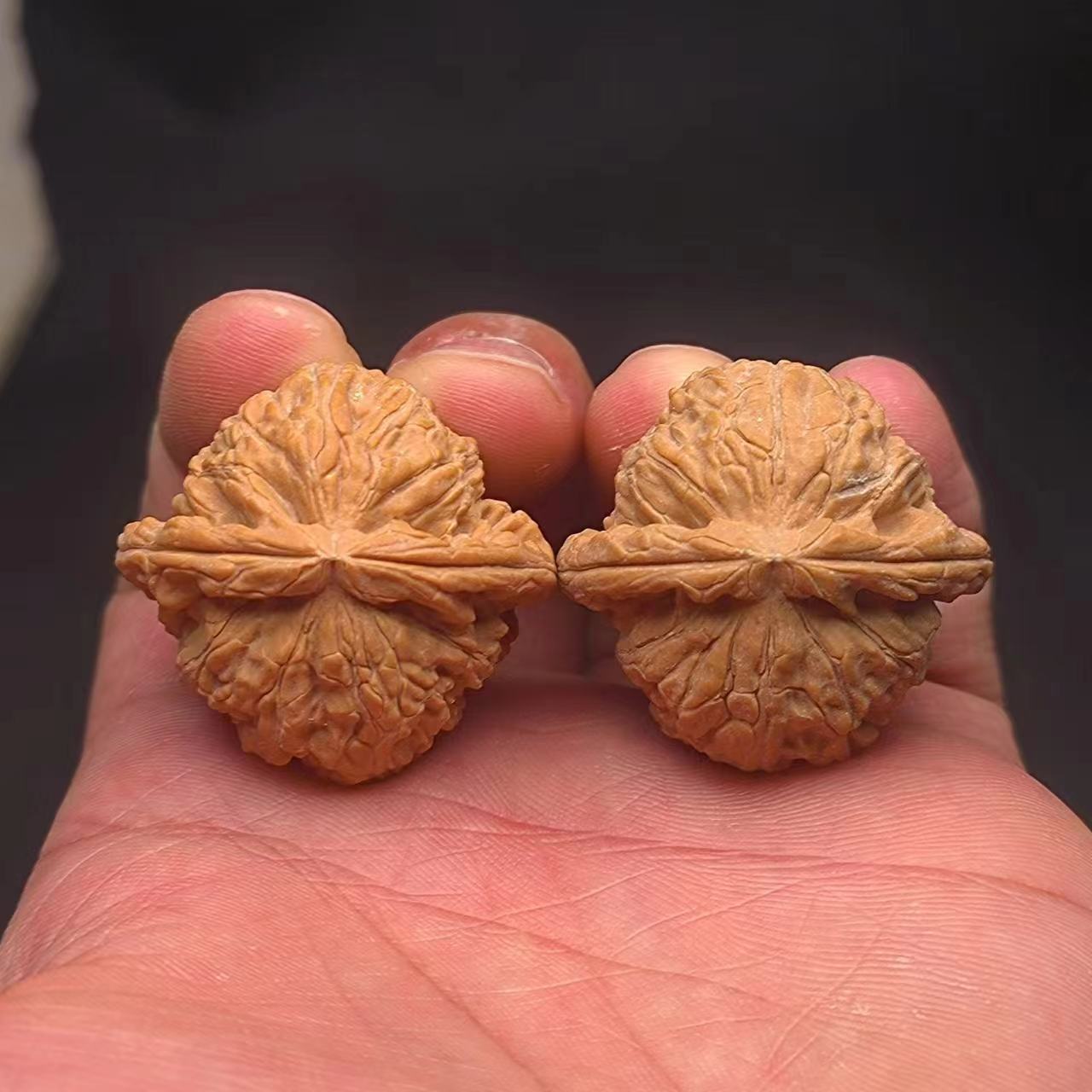 文玩核桃手盘玩手把件白狮子头一对