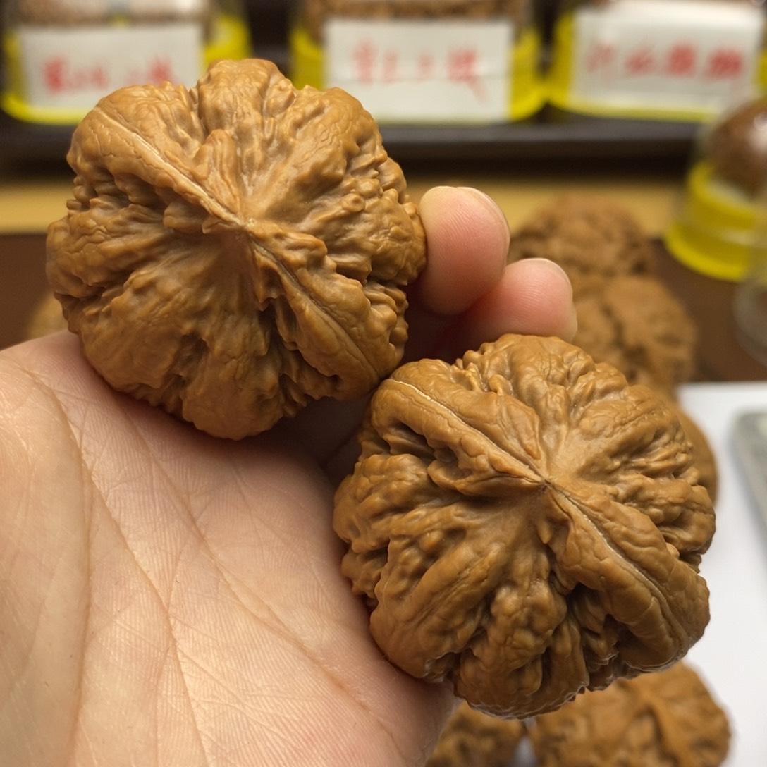 文玩核桃吊坠L*45霸王龙220