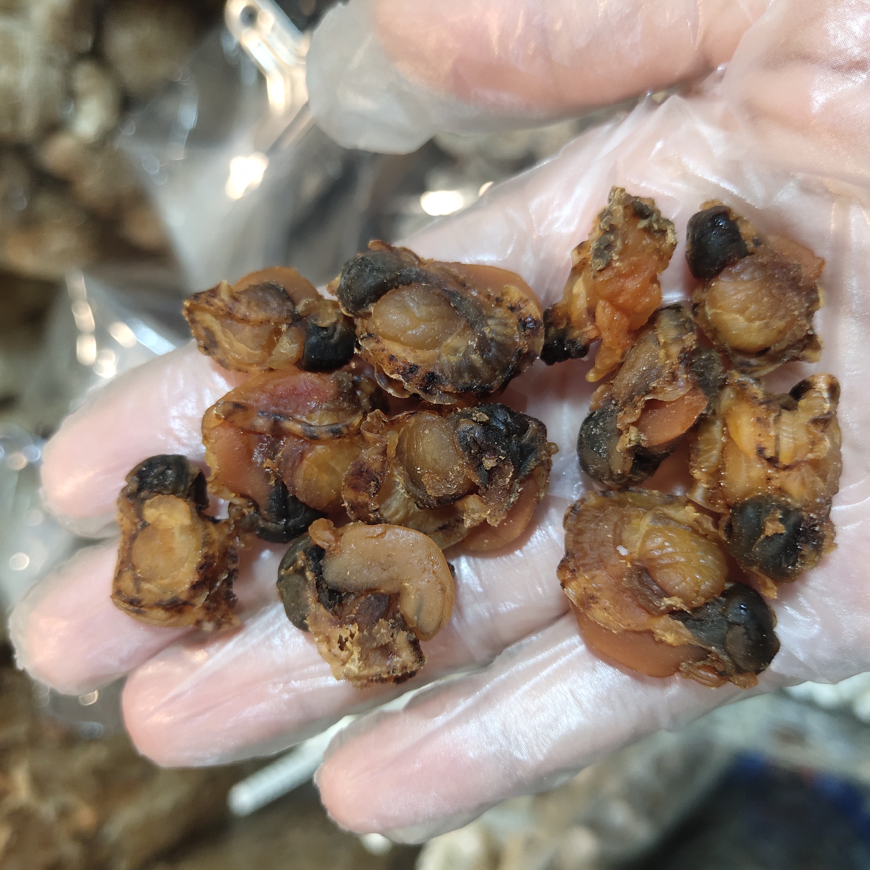 全贝 鲍鱼仔 鲍鱼螺 整个扇贝 瑶柱 蒸粉丝 250g/500g