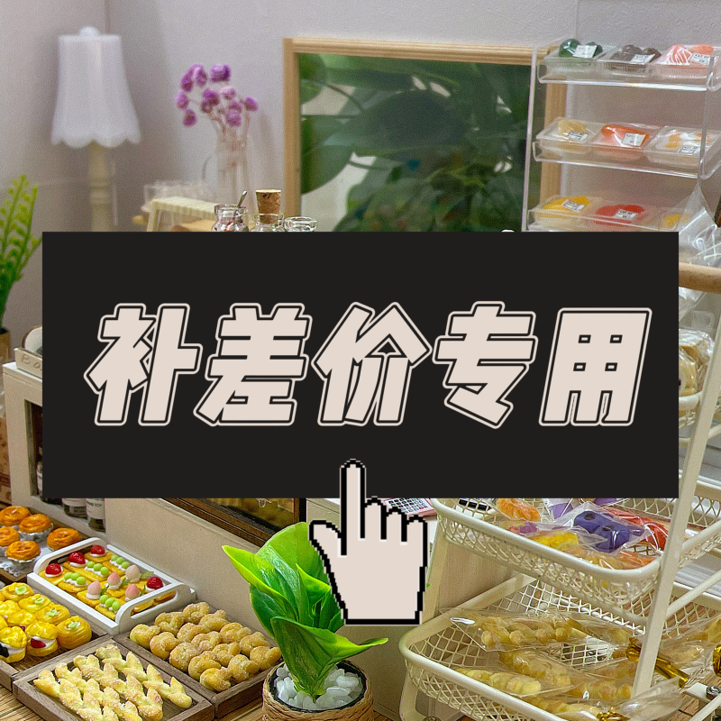 【补差价 专用】仿真微缩卡通手作食玩DIY手工